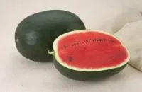 Арбуз ЛАХАТ F1 (1000 семян) Hazera