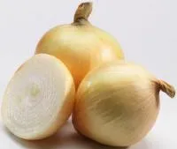 Лук-севок Коррадо